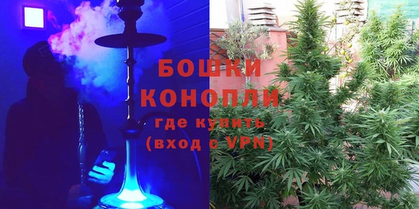 PSILOCYBIN Беломорск