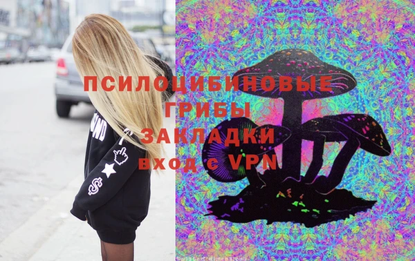 дмт Белокуриха