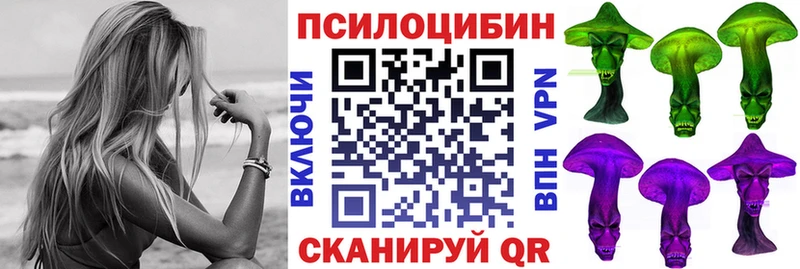 Псилоцибиновые грибы Psilocybe закладки Кольчугино